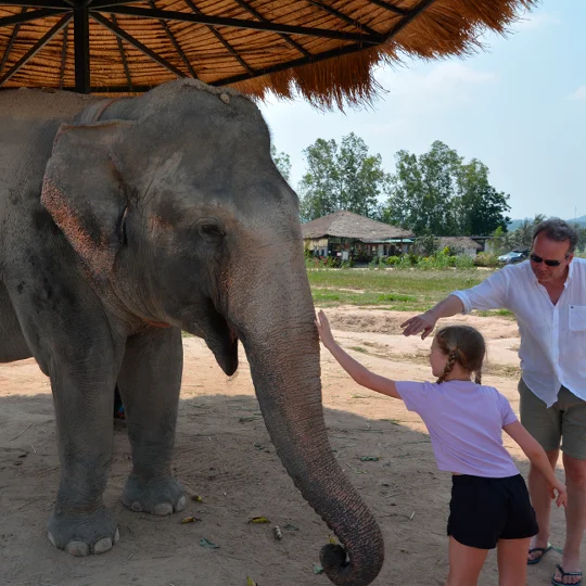 Best Elephant Sanctuary In Thailand