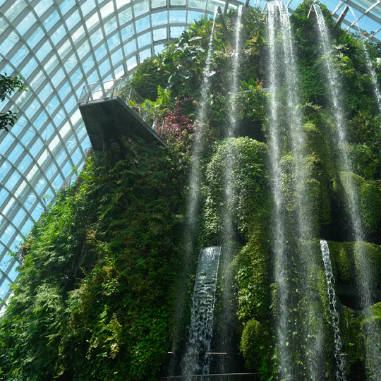 Gardens By The Bay Singapore