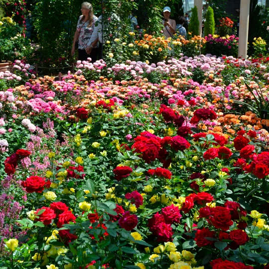 Gardens By The Bay Singapore